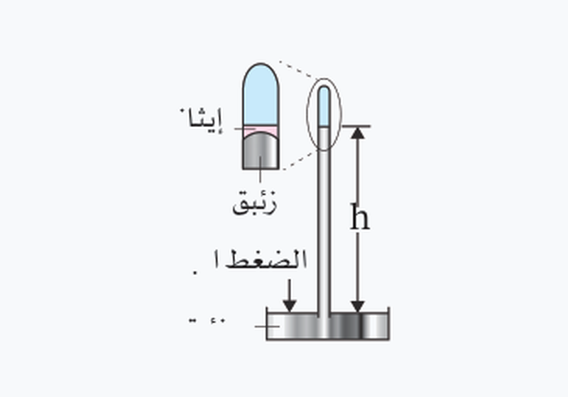 شكل السؤال