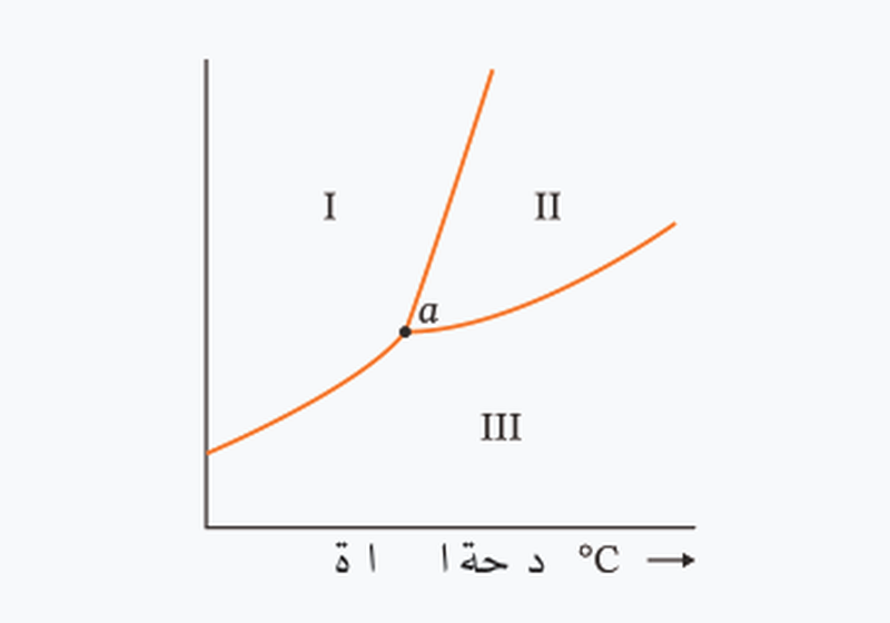 شكل السؤال