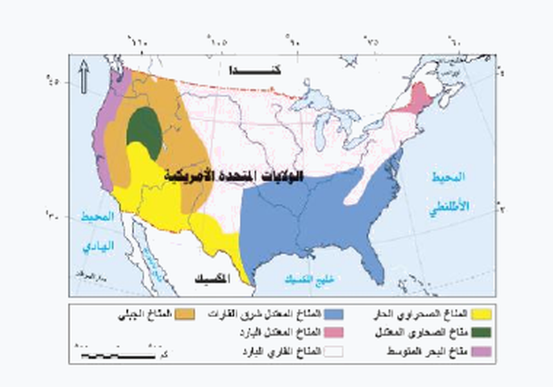 شكل السؤال